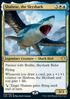 Shabraz, the Skyshark